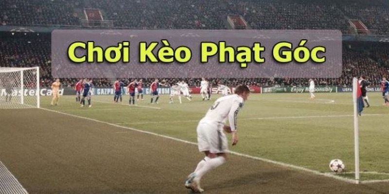 Tổng hợp kèo phạt góc cá độ bóng đá phổ biến nhất