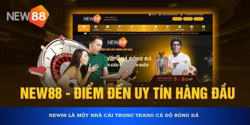 New88 là một nhà cái trong trang cá độ bóng đá